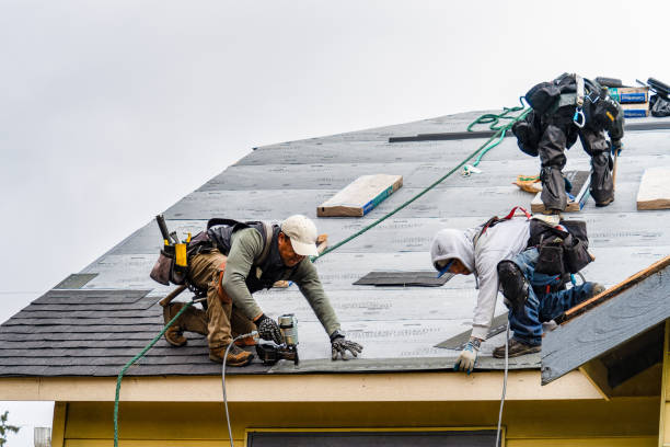 Professional Roofing technician working in Brighton, IA